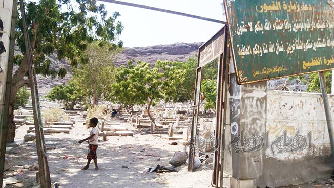 حارس المقبرة: تحولت المقبرة إلى مأوى للحيوانات ومكان لممارسة الرذيلة 